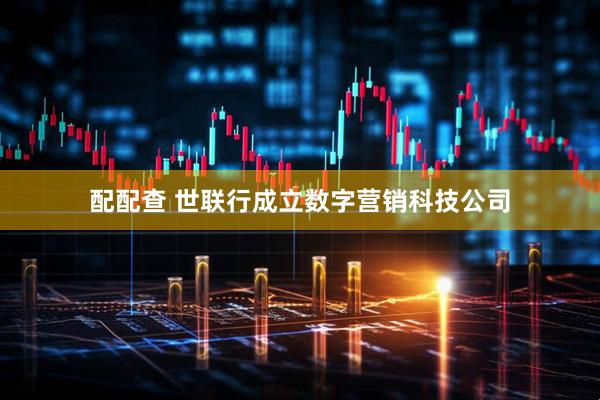 配配查 世联行成立数字营销科技公司